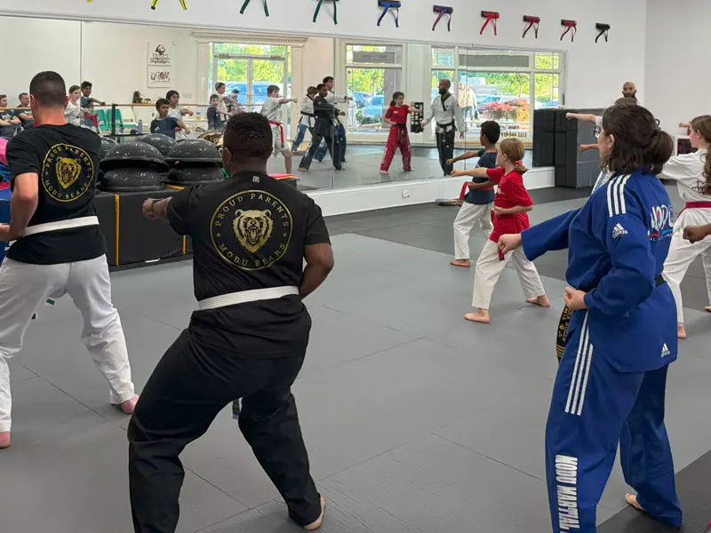 Family Martial Arts Classes | Modu Martial Arts